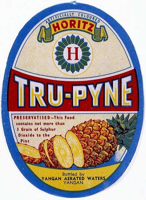 Vintage Ginger Ale Beer Label 2x3 Fridge Magnet Collectible Drink Hops Port