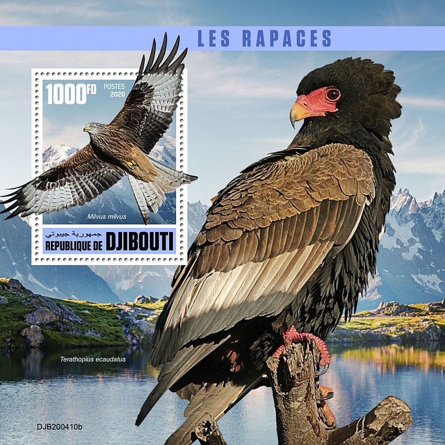 BIRDS OF PREY Eagles 1-Value MNH Bird Stamp Sheet #185 (2020 Djibouti)