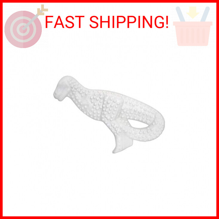 Nylabone Power Chew Dental Chew Toy Durable Dinosaur Dog Toy, Chicken Flavor, Sm