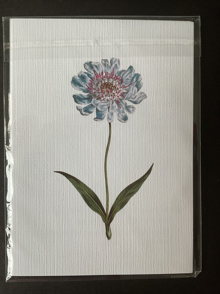 BRAND NEW! Blue Flower Wall Art- Linen Texture, 5”x7”, Unframed
