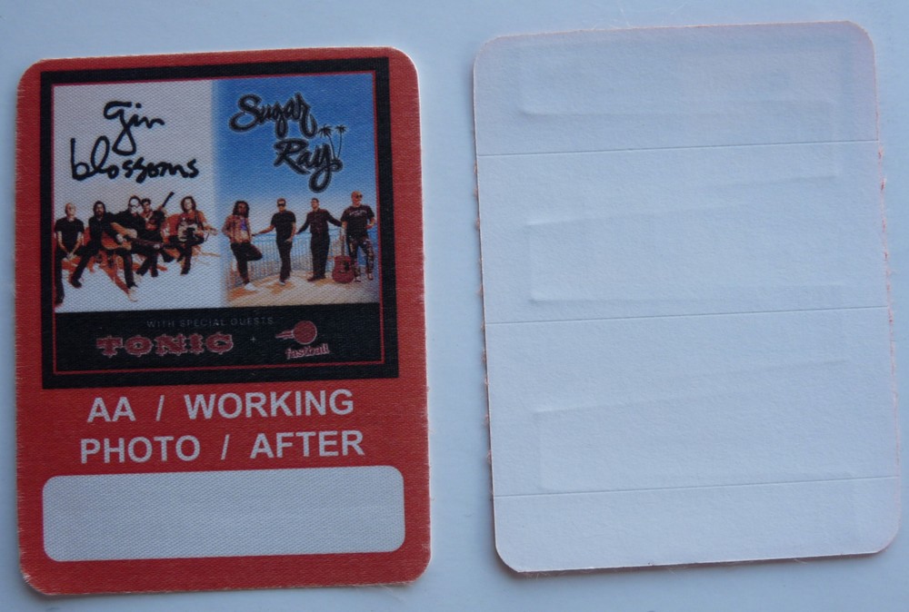Gin Blossoms Sugar Ray & Tonic Concert Tour Backstage Pass D19