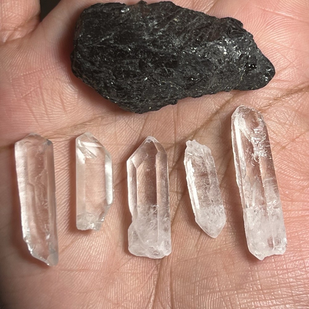 Black Tourmaline + Clear Quartz Mini Crystal Set