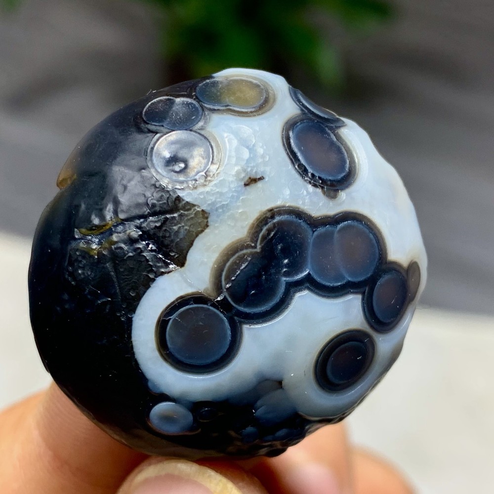 20G Natural Gobi Thousand Eyed Agate tumble palmstone Shape Reiki Chakra Healing