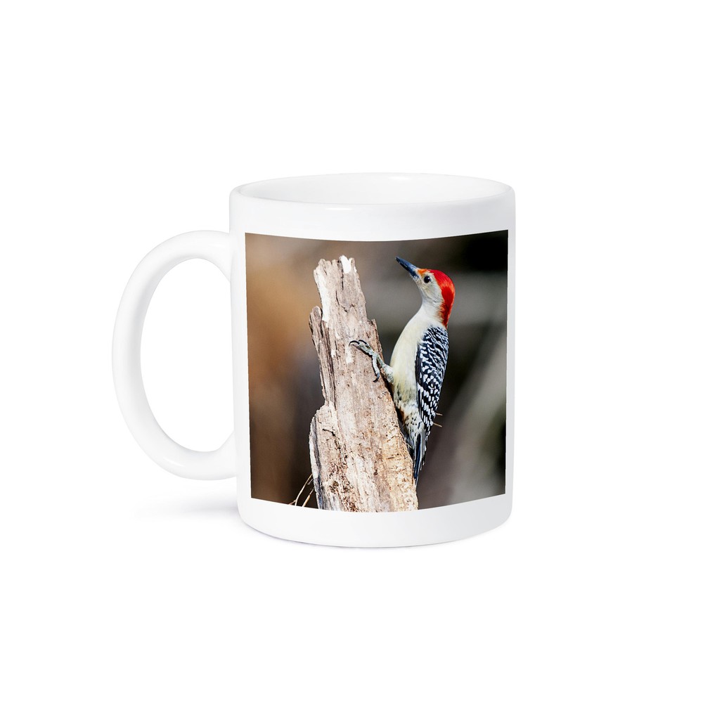 3dRose, RED BELLIED WOODPECKER, Mug