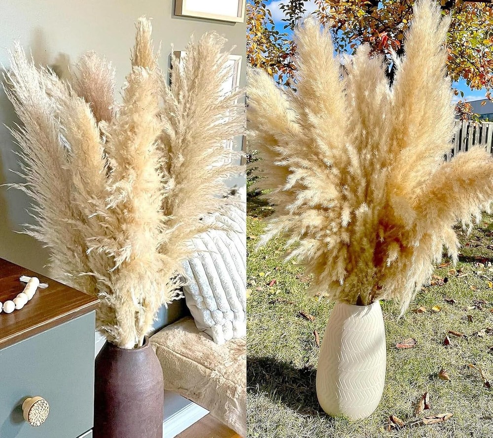 20 Stems of Fluffy Beige Pampas Grass – Perfect for Weddings and Home Decor
