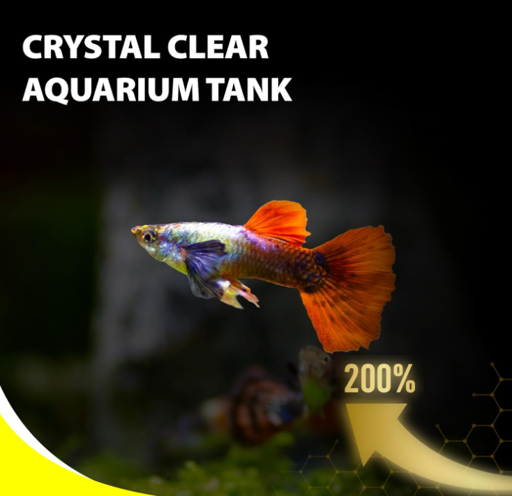 Purify Tetra Fish Food, 2.65 oz, natural sinking pellets for small fish