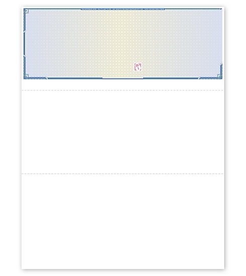 High Security Top Blank Voucher Checks by Deluxe / NEBS / SLT831 Free Shipping!-image