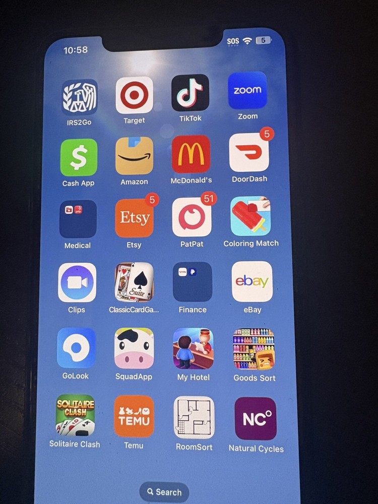 iPhone 11 Pro Max With TikTok