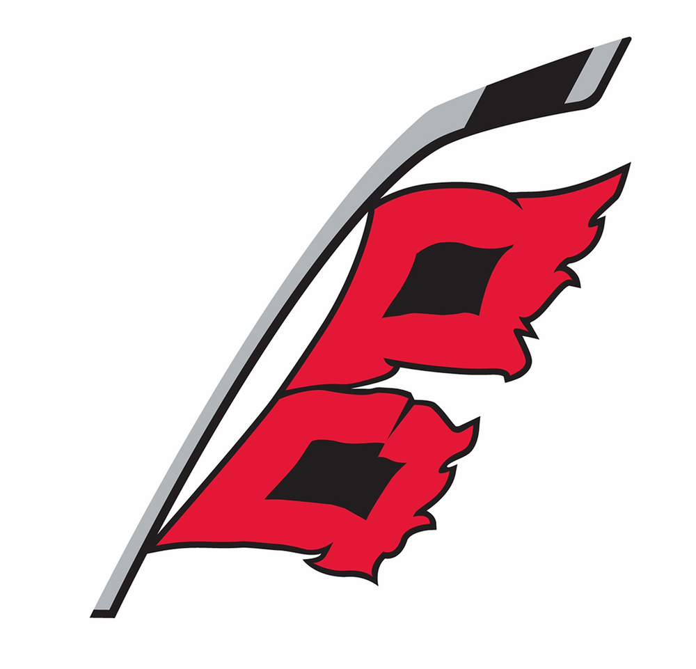 Carolina Hurricanes NHL Weather Resistant Vinyl Die Cut Sticker Decal 03