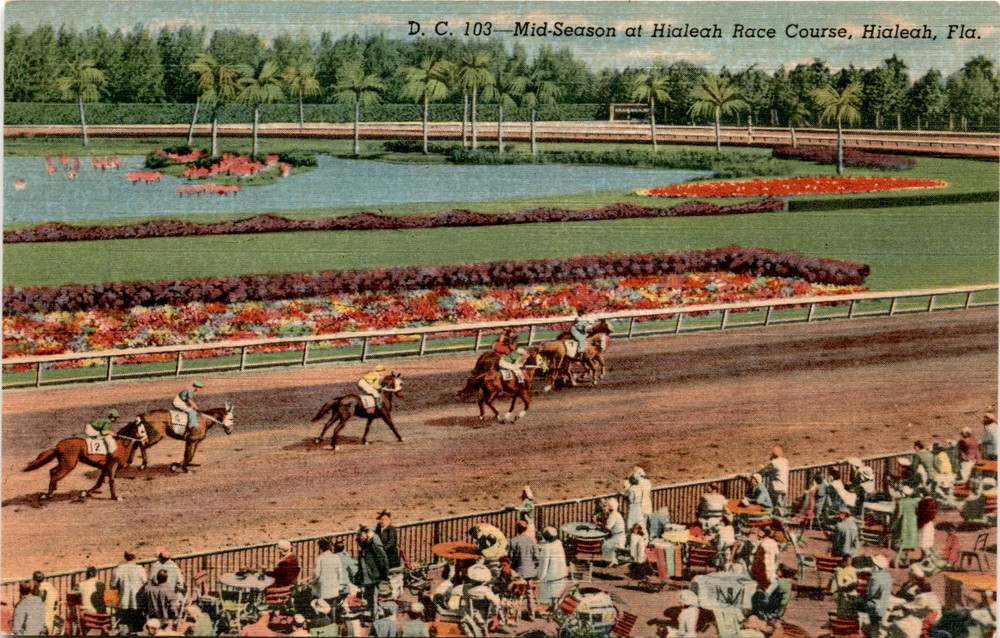 Hialeah Race Course, Hialeah, Fla, Gulf Stream Card & Distributing Co., Postcard