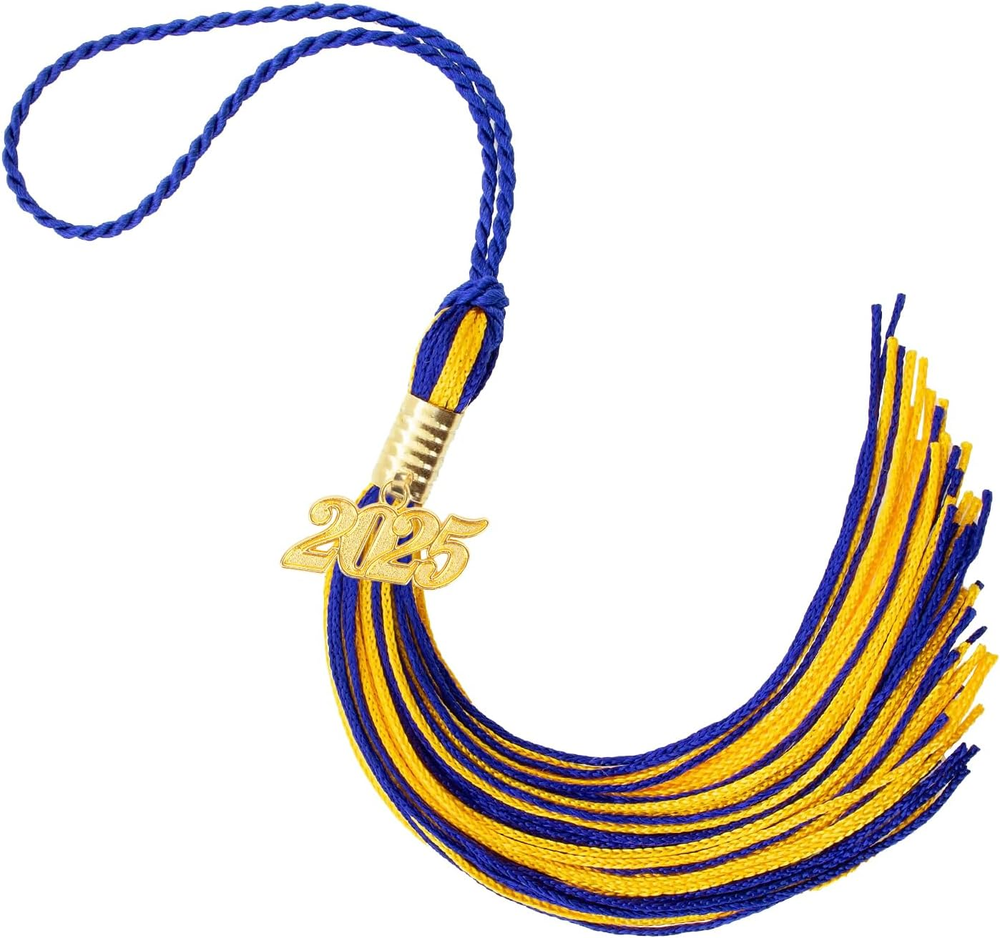 2025 Graduation Tassel,2025 Graduation Cap Tassels,2025 Tassel with 2025 Year Go