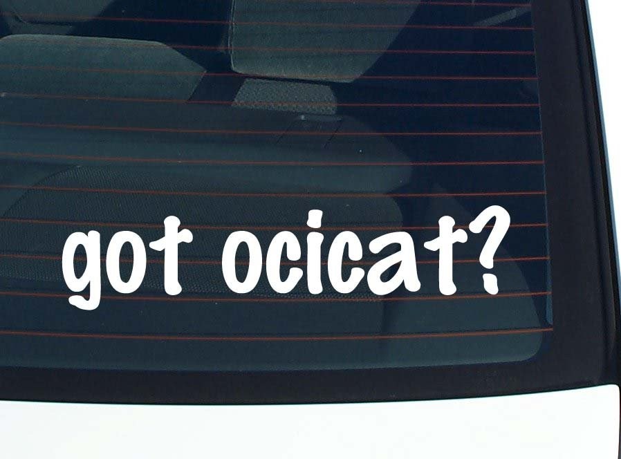 Show off your love for Ocicats with this funny vinyl car decal bumper sticker