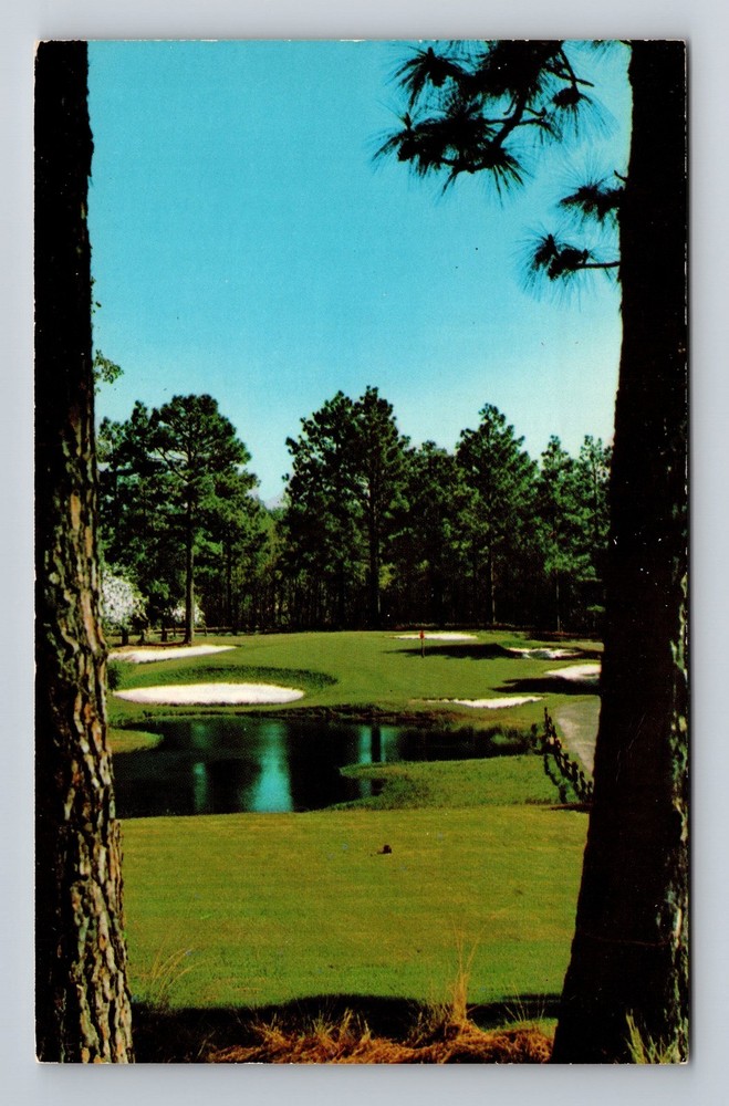 Vintage North Carolina Pine Needles Country Club Postcard Southern Pines NC