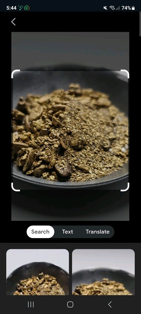 10 Pounds Unsearched GOLD Paydirt  All Bags Guaranteed To  Contain Gold