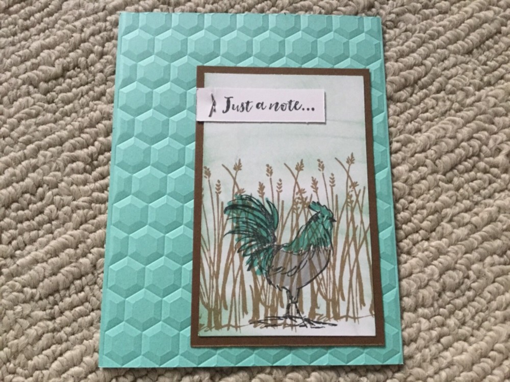 Home to roost all occasions thank you note card kit of 6 made w/ Stampin' Up