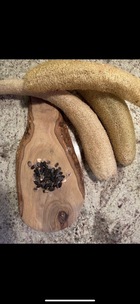 Luffa Gourd Seeds Non GMO, Pesticide Free Natural Sponge