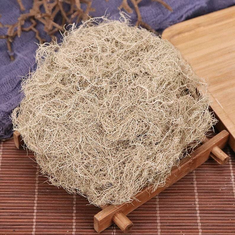 Organic Herbal Usnea Longissina Dried Herbs Usnea Diffracta Great Quality