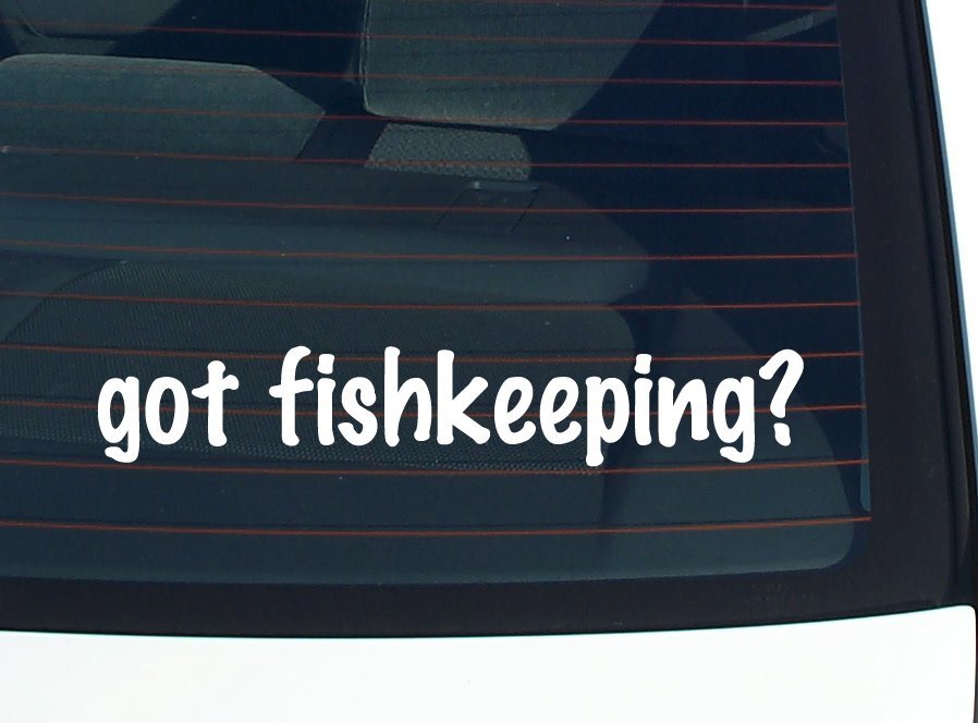 Got Fishkeeping? Funny Car Decal Bumper Sticker Vinyl Window Joke  