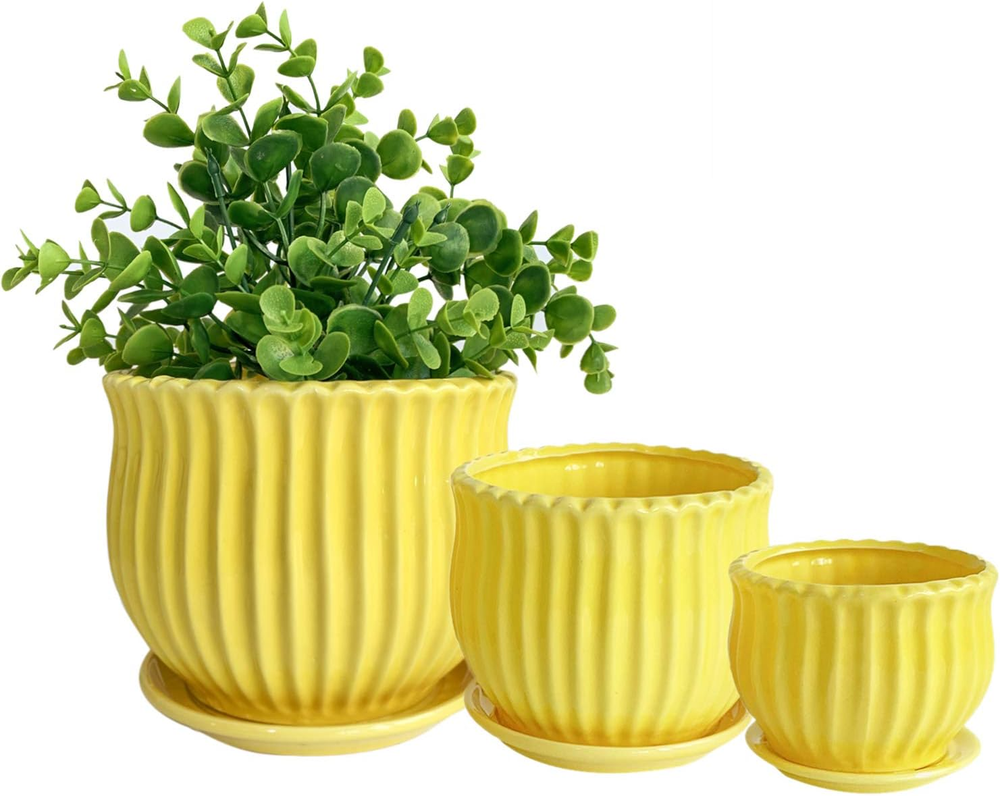 Yellow Ceramic Flower Pots with Saucers, Modern round Ceramic Succulent Plant Po