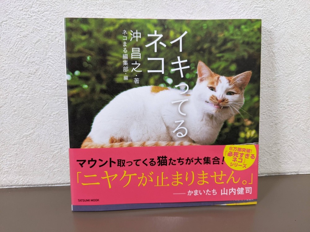 Japanese Cat Boasting Face Photobook - Adorable Feline Expressions