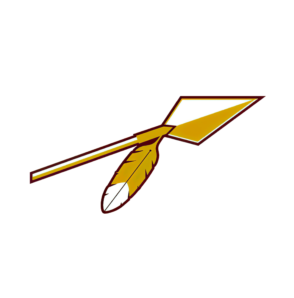Washington Football Weather Resistant Vinyl Sticker/Decal 09