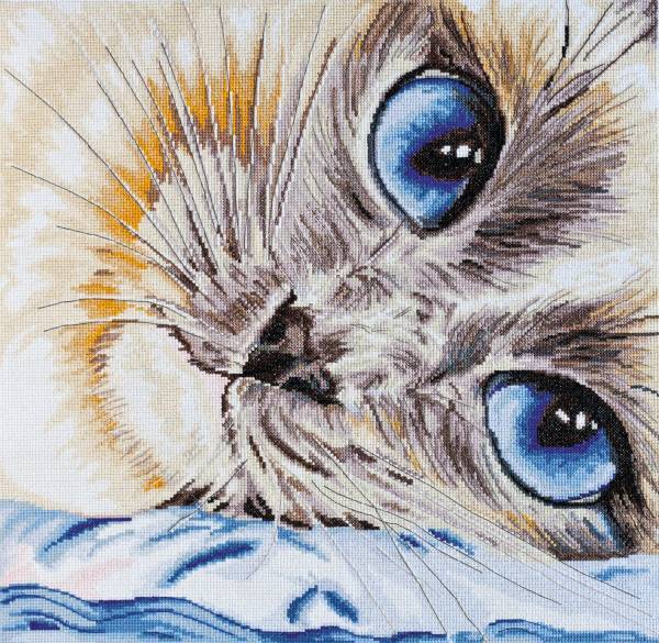 Sapphire Look Cross Stitch Kit 40x39.5cm White Aida 14ct Needlepoint