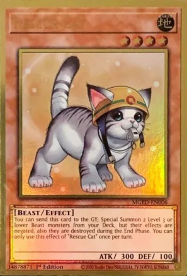 Rescue Cat (Alternate Art) - MGED-EN006 - Premium Gold Rare - 1st Edition x1 - D