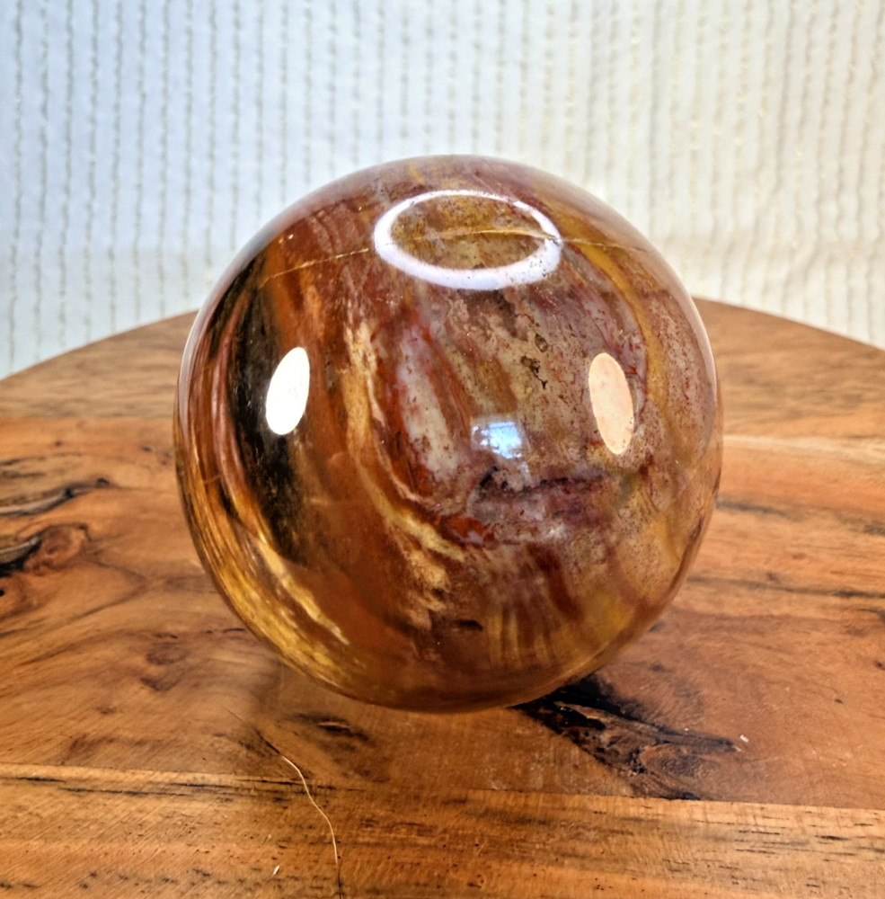Petrified Wood Sphere