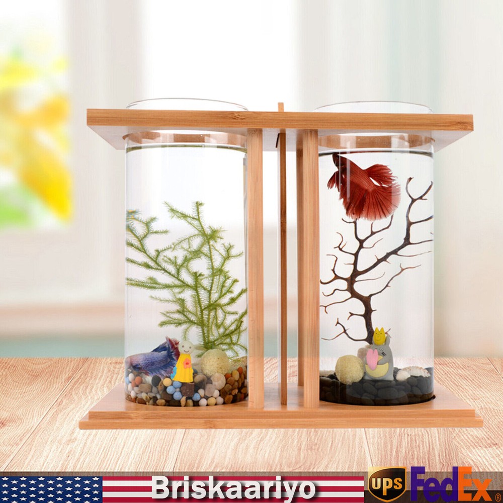 Mini LED Desktop Aquarium for Goldfish or Betta Home Decor