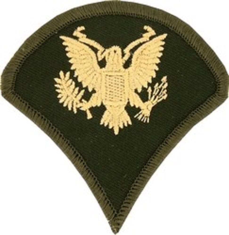 US ARMY SPECIALIST E-4 SPC SPC4 RANK PATCH ENLISTED DIRTY BIRD