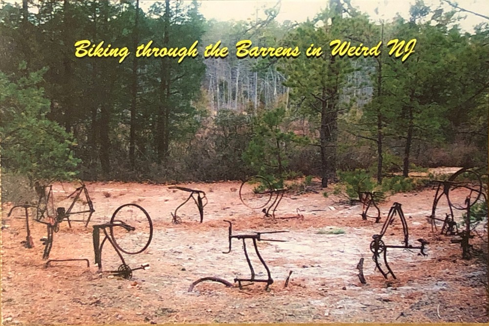 The Barrens New Jersey Bikehenge Postcard Along Botona Trail Bass River Weird NJ