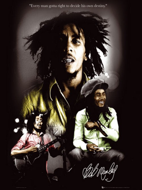 Bob Marley Destiny Poster 61x91.5cm Unframed Art Print