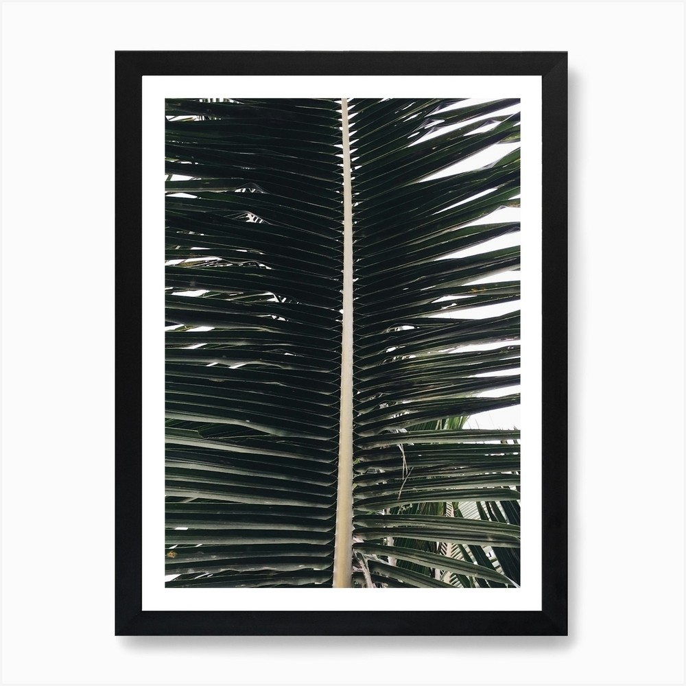 Palm Tree 1 Art Print Framed Wall Art Poster Canvas Print Picture
