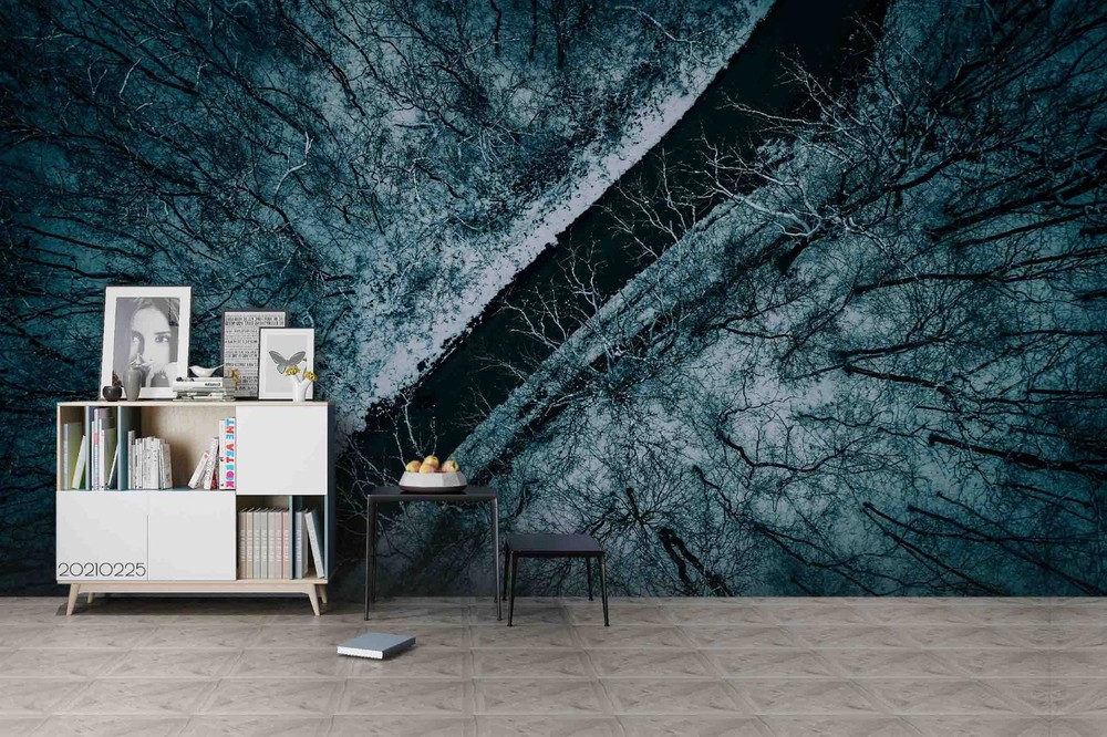 3D Overhead View Winter Forest River Wall Murals Wallpaper Murals Wall Sticker