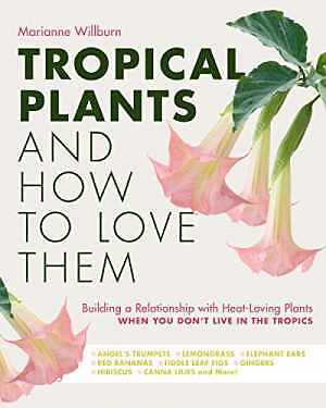 Tropical Plants and How to Love Them: - Paperback, by Willburn Marianne - Good