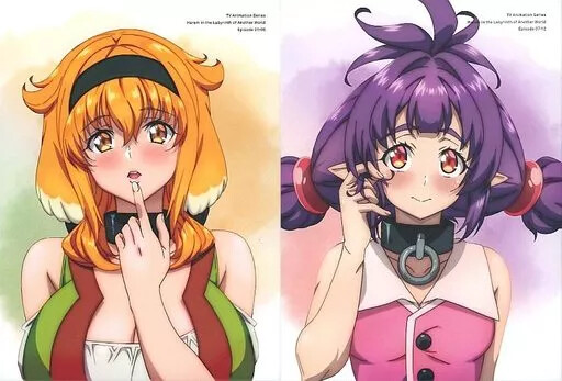 Harem in a different world labyrinth Blu-ray BOX regular version up Japan Import