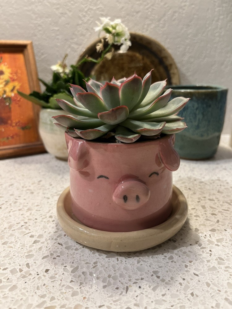 Plant pot ceramic Hand Made Cute Pig