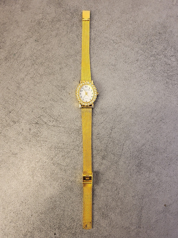 Elegant Michel Delaby Women's Wristwatch with Stylish Design  