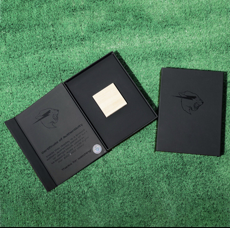 Authentic MrBeast Set Collectable | Ages 1 - 100 | Jenga Block