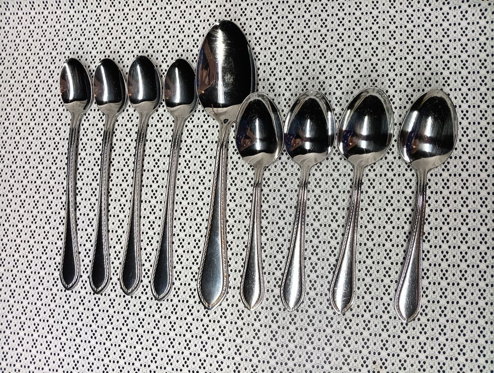 Reed & Barton TRADITION-TANGLEWOOD Stainless Flatware 4 Tea 4 Table 1 Serv Spoon