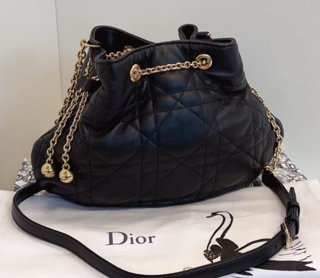 Dior Summer Series AMMI Drawstring Shoulder Bag in Canvas
