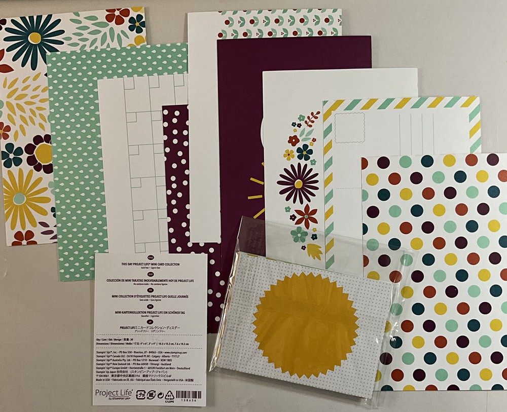 Project Life Stampin Up THIS DAY Limited Ed 29 cards Scrapbooking Supplies