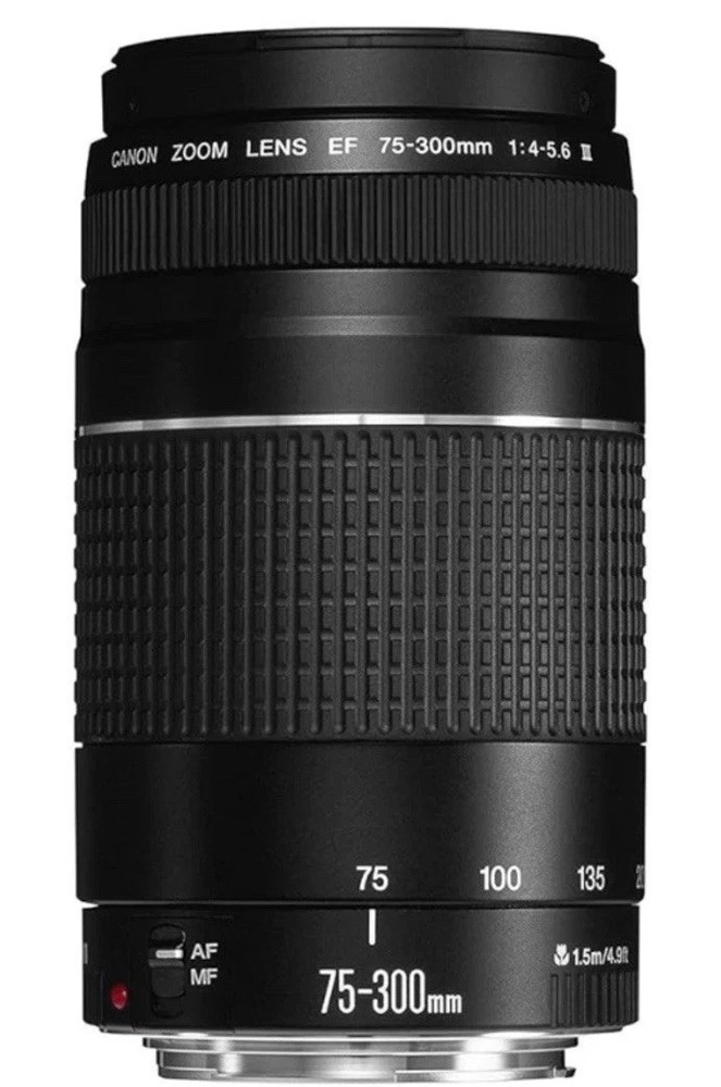 Canon EF 75-300mm f/4-5.6 III Telephoto Zoom Lens for DSLR Cameras