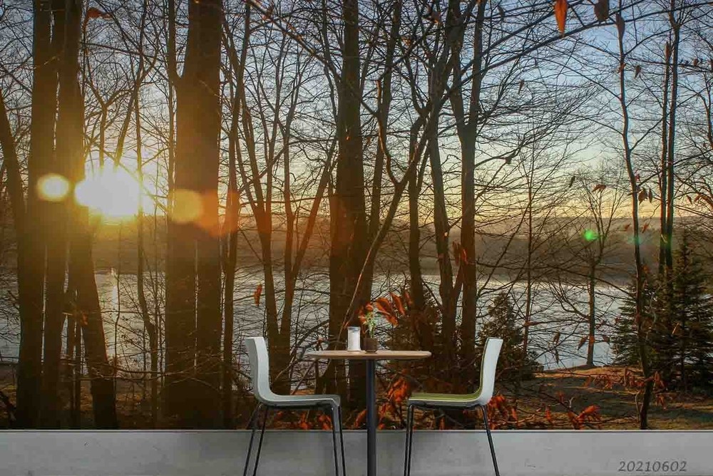 3D Forest River Sunlight Landscape Wall Murals Wallpaper Murals Wall Sticker