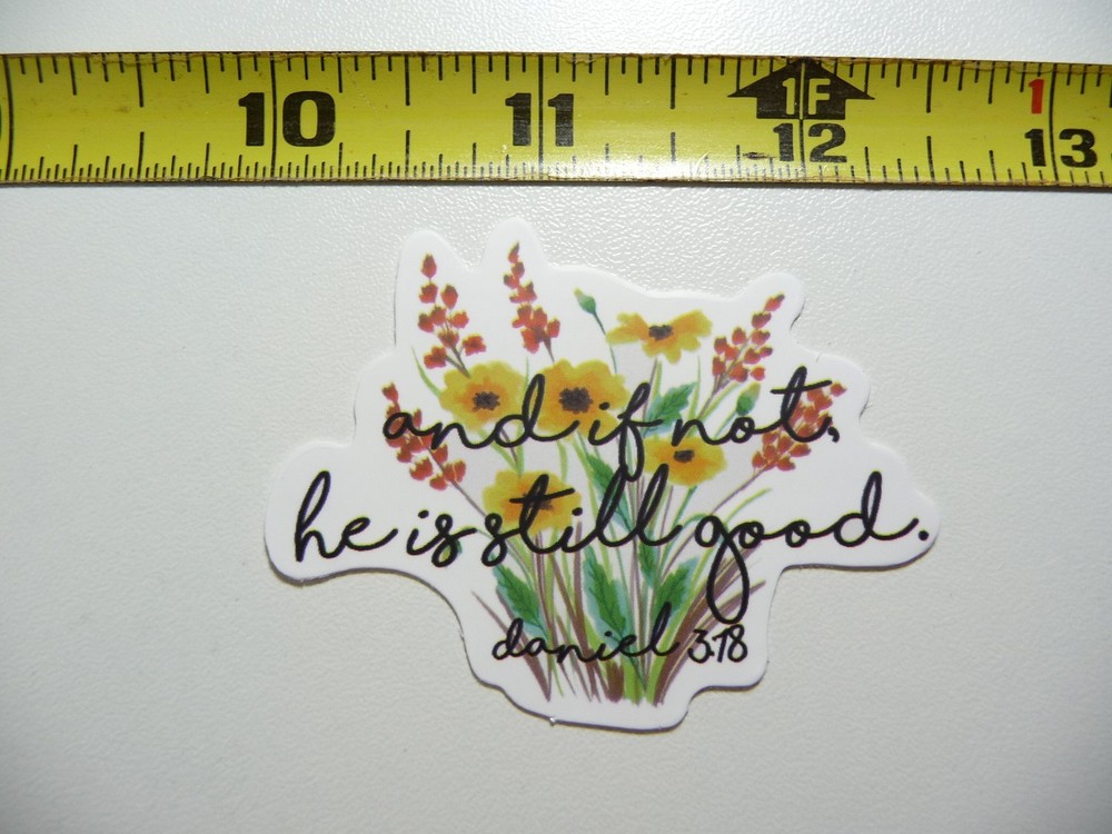 RELIGIOUS BIBLE QUOTE DANIEL 3.78 DECAL STICKER CHRIST FAITH CHURCH BELIEF