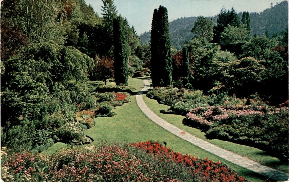 SUNKEN GARDENS, Butchart Gardens, Victoria, B. C., Canada. Postcard
