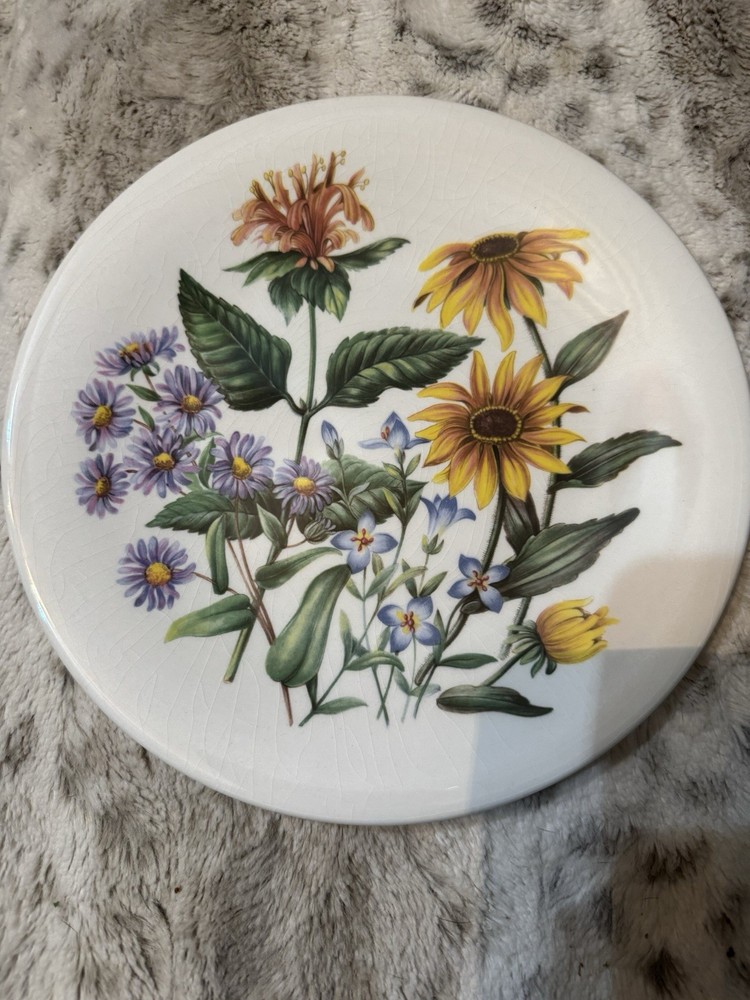 Wild Eastern US Flowers Plate Aster Bee Balm Blackeyed Susan Native Plants