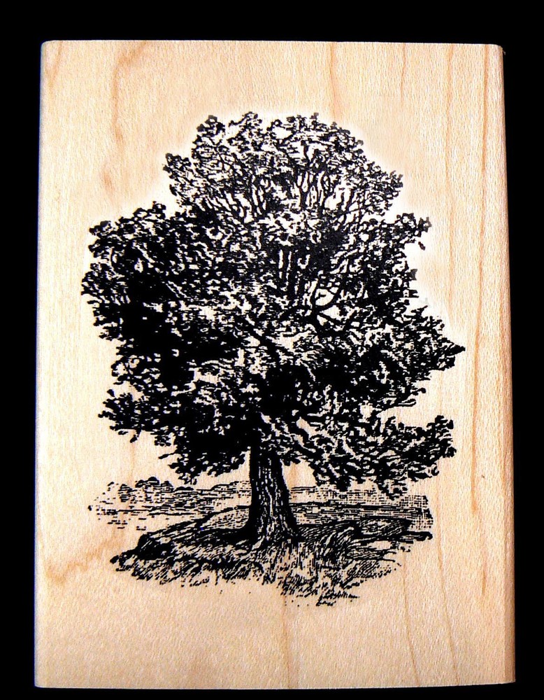 P3  Oak Tree rubber stamp WM 3x2.25