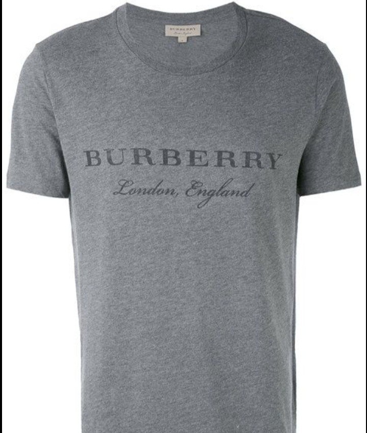 Gray Burberry Shirt
