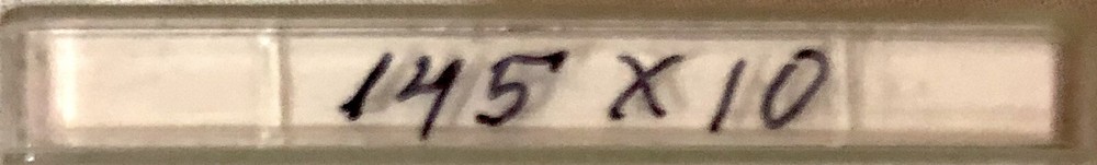 14.5x10mm 0.12 Watch Mainspring 1X=1 Replacement 145P31